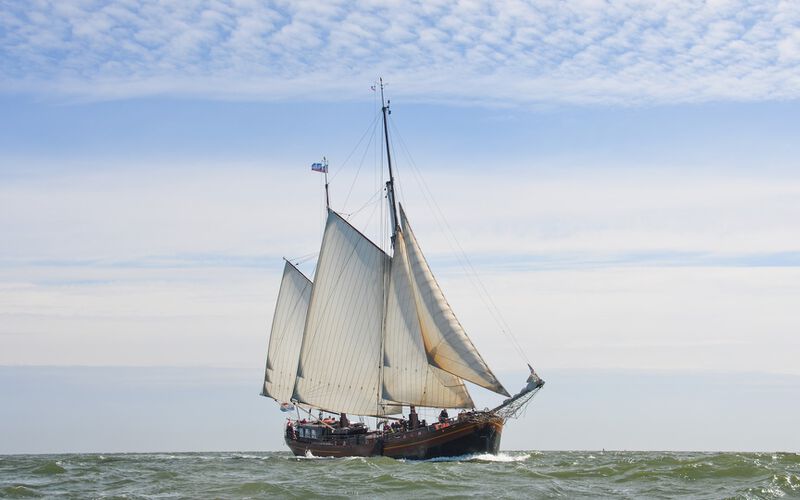 Excursie met de schoolgroep op de Waddenzee
